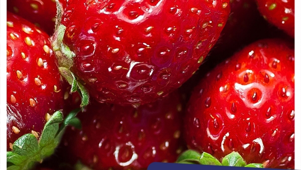 Ο,τι πρέπει να ξέρεις για τις Φράουλες